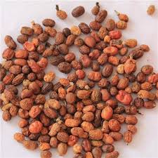 Galanga Seeds